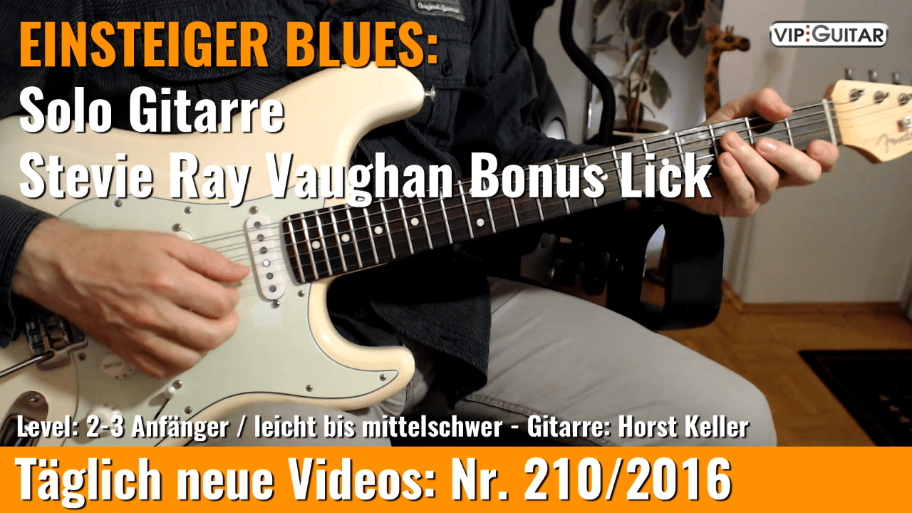 Stevie Ray Vaughan Lick Nr. 11