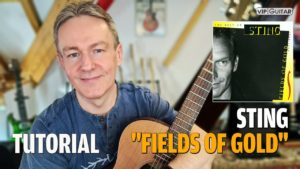 Fields of Gold Easy Akustik Version