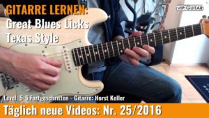 Stevie Ray Vaughan Texas Style Lick