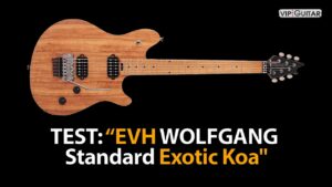 Produkttest EVH Wolfgang Standard Exotic Koa