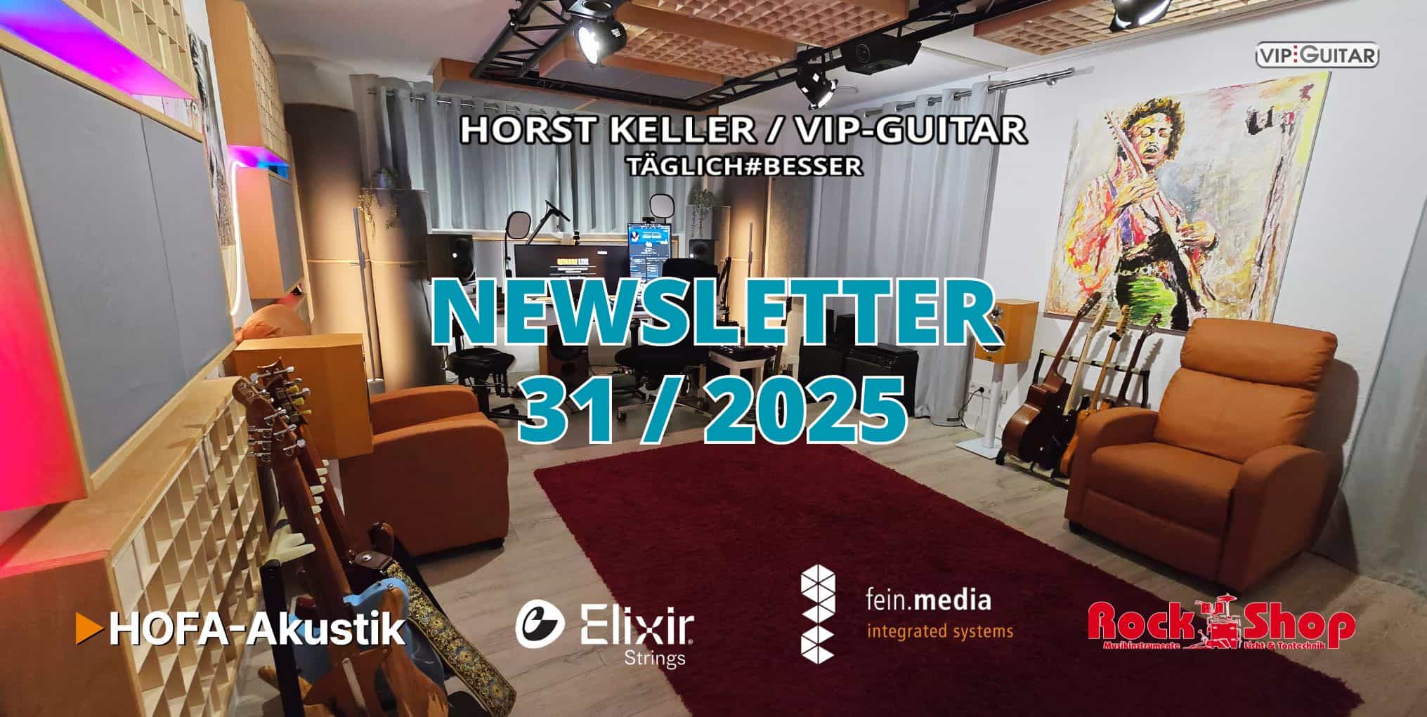 Newsletter VIP-Guitar 31.25